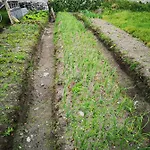 An Creagan Country house Inisheer