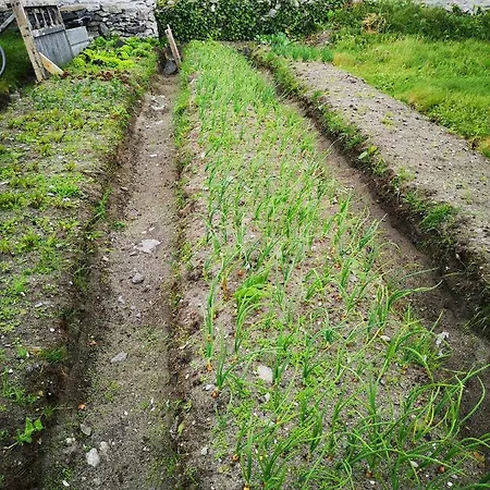 An Creagán Casa de Campo Inisheer