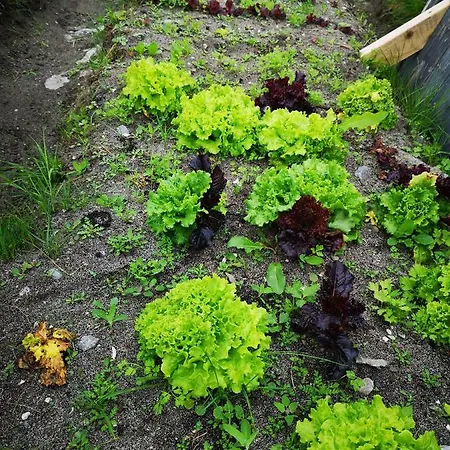 An Creagán Casa de Campo *