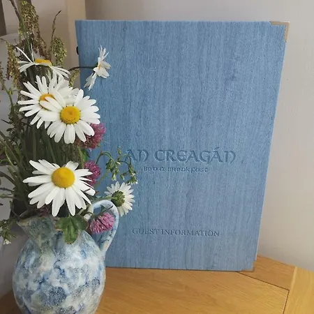 An Creagan Gospodarstwo wiejskie Inisheer