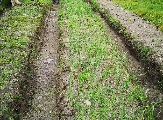 An Creagán Casa di campagna Inisheer