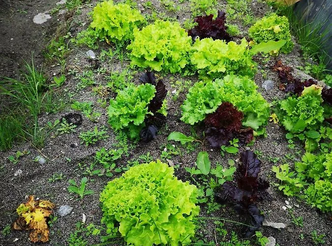 An Creagán Casa di campagna *